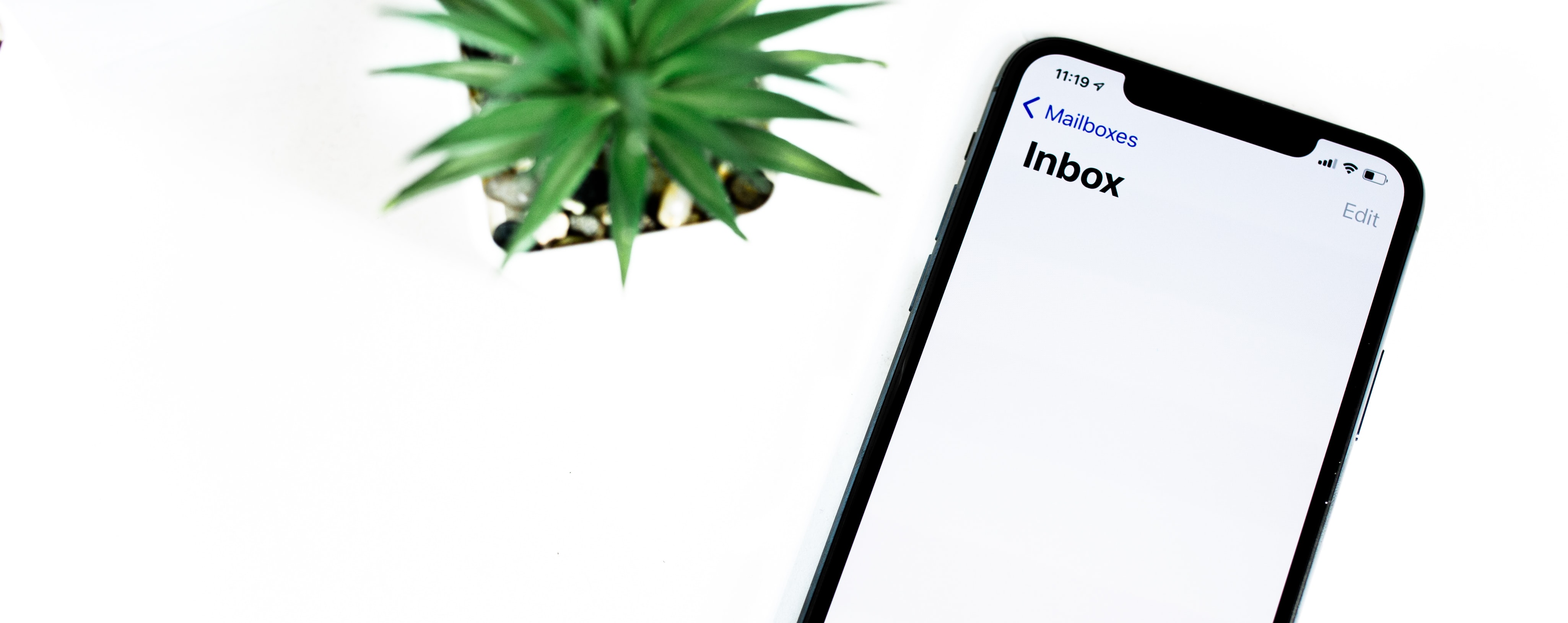 Newsletter